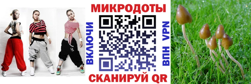 наркошоп  Ярцево  Псилоцибиновые грибы Cubensis 