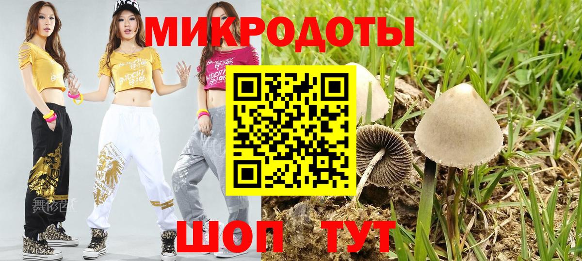 как найти   Псилоцибиновые грибы Magic Shrooms  Вход с VPN  Ярцево 